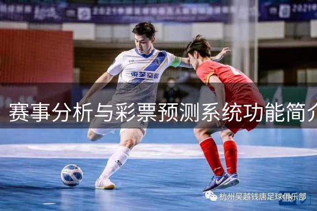 赛事分析与彩票预测系统功能简介